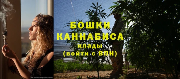 прущие грибы Балахна