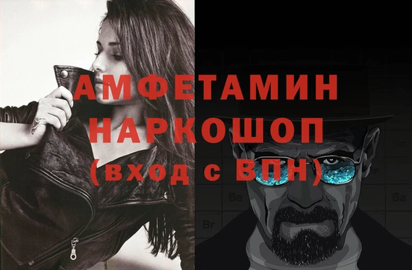 прущие грибы Балахна