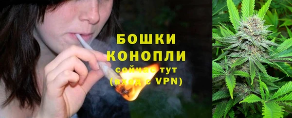 прущие грибы Балахна